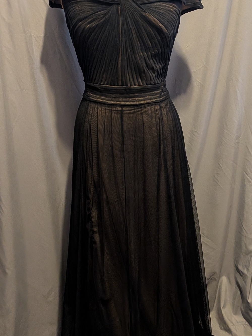 Tadashi Shoji Black Pleated Sheer Maxi Dress Size 4 - Picture 3 of 12